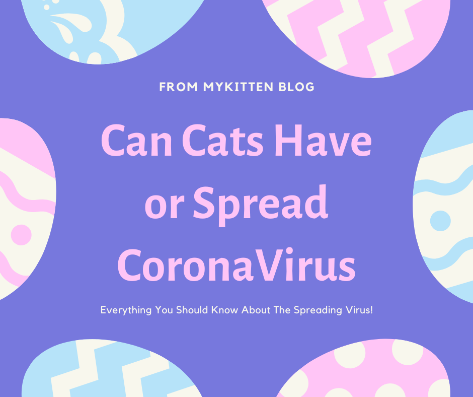 Can Cats have or spread corona Virus