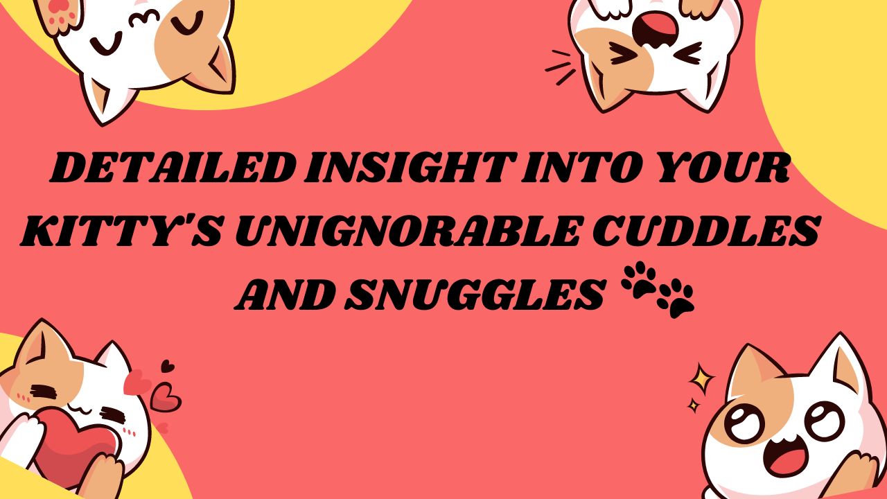 Read more about the article A Detailed Insight Into Your Kitty’s Sweet & Unignorable Cuddles & Snuggles