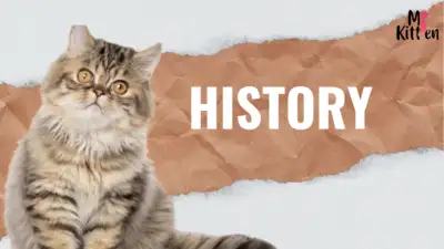 history of persians