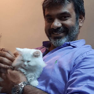 persian cats for sale in guwahati