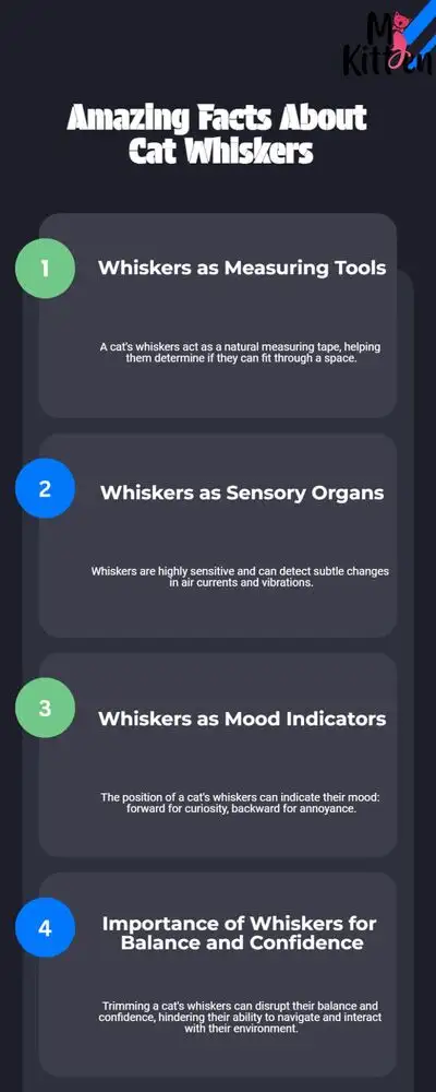 facts about cat whiskers