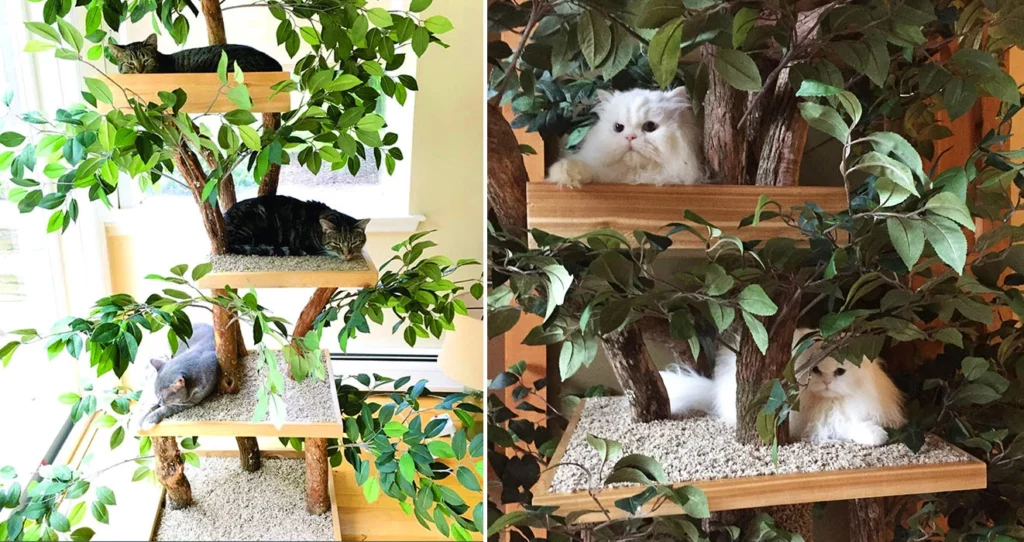 cat treehouse