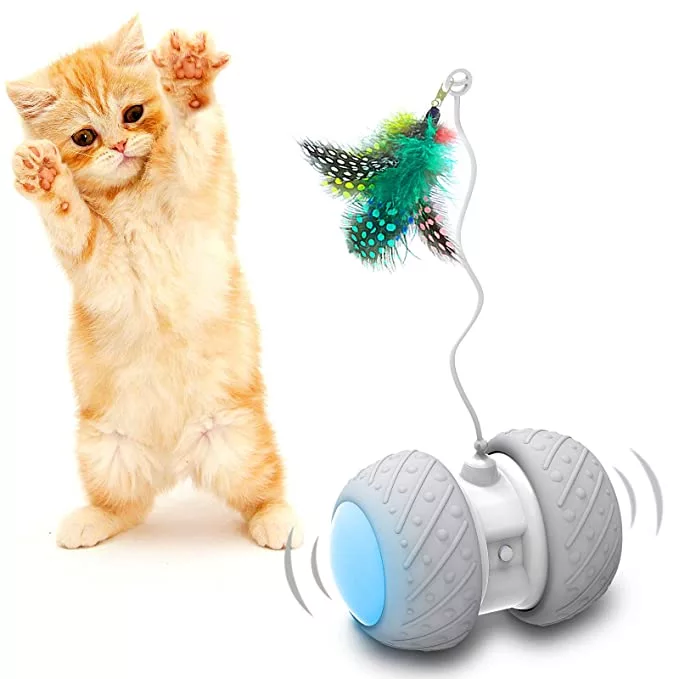 Best Toys For Cat