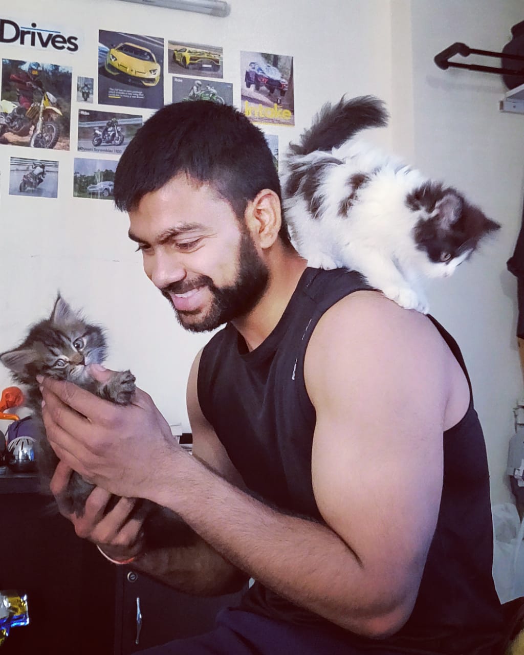 Cats For Sale in Bangalore Buy Pet Kittens Online Near You