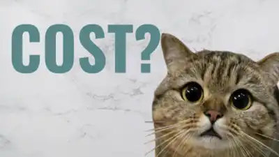 cat cost in India