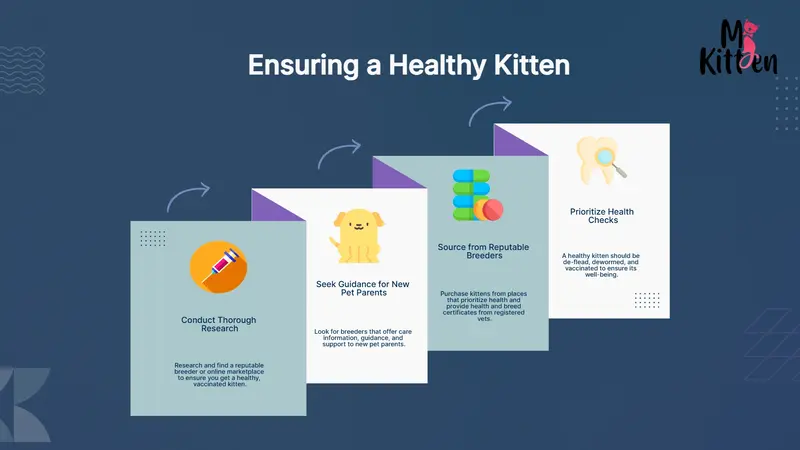 how to ensure a healthy kitten