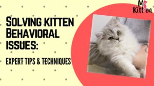 Read more about the article Solving Kitten Behavioral Issues: Expert Tips and Techniques