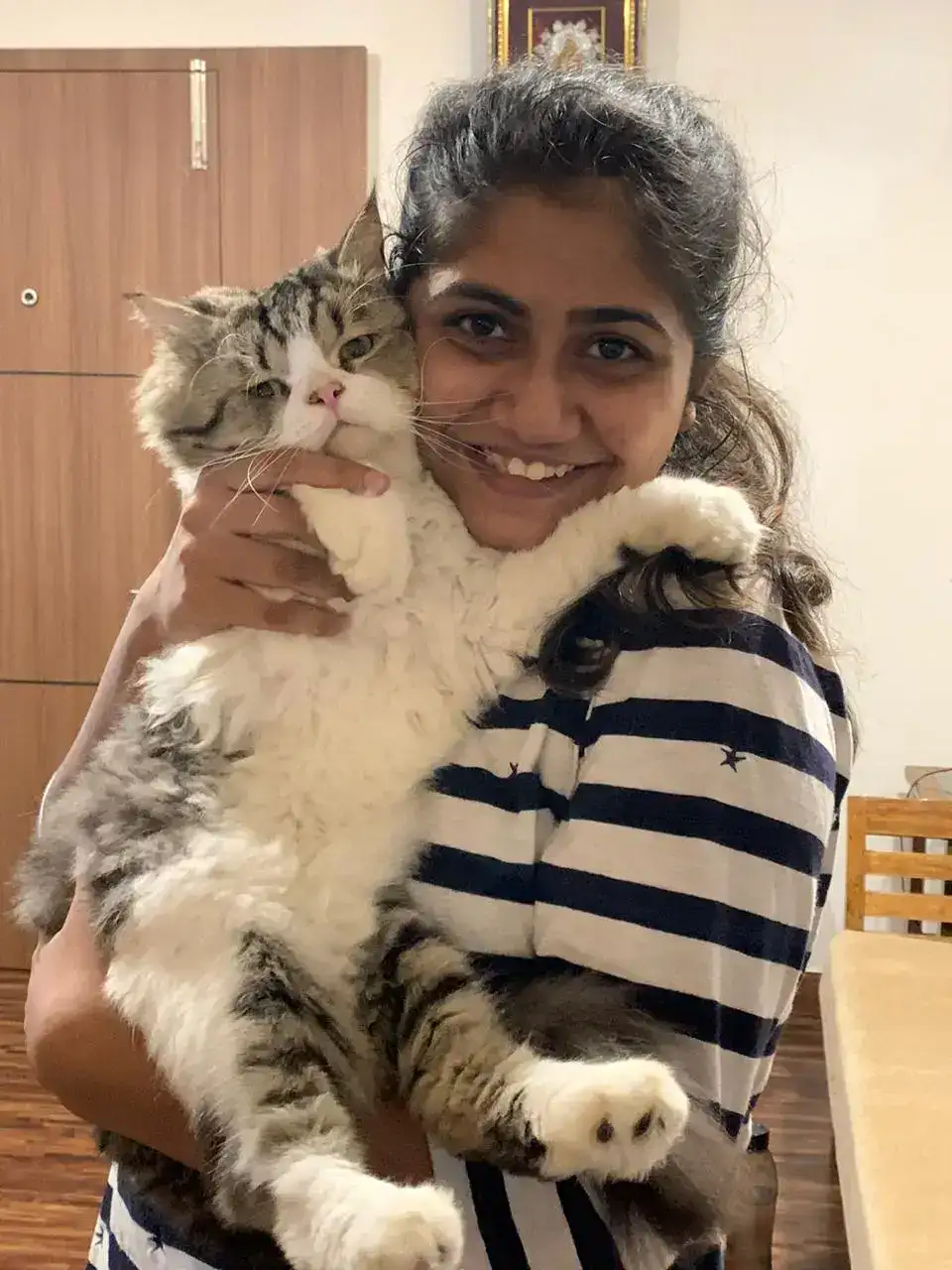 Cats For Sale In Pune Buy Kitten At Best Prices MyKitten cats-for-sale-in-pune-buy-kitten-at-best-prices-mykitten