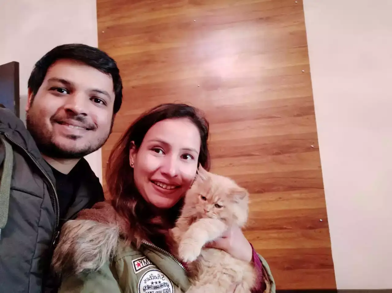 Persian Cats for Sale in Hyderabad Healthy and Happy Kittens