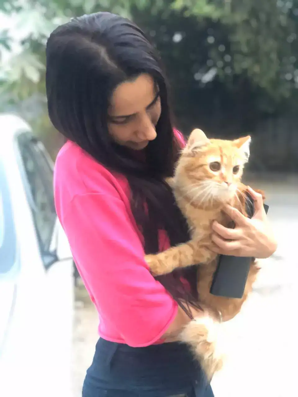 Chennai Cats For Sale Your New Family Member Awaits