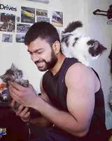 kittens to buy in ahmedabad