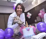 kittens for sale in chennai
