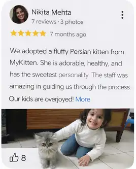 registered cat breeder in india