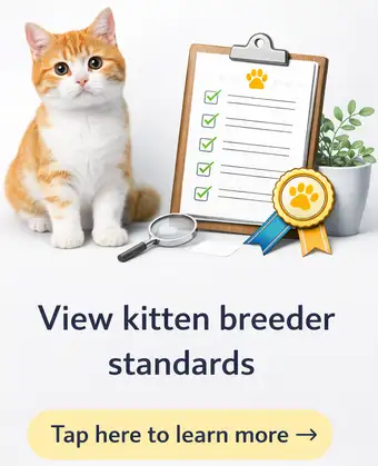 Standards and Screening | MyKitten